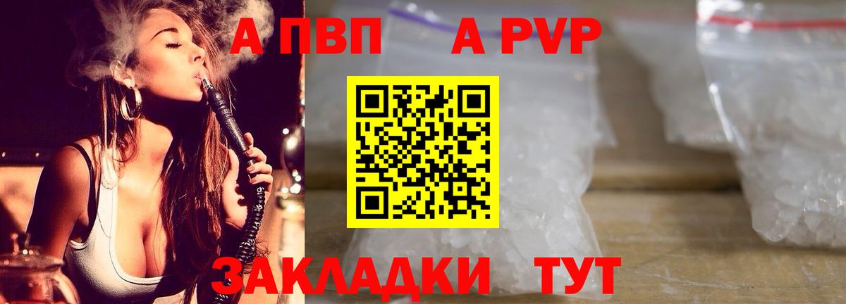 Альфа ПВП СК Гусев