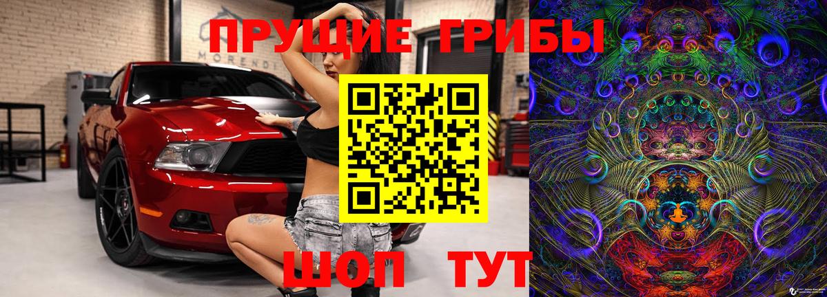 Гусев  Псилоцибиновые грибы прущие грибы  Псилоцибиновые грибы MAGIC MUSHROOMS  Вход с VPN 
