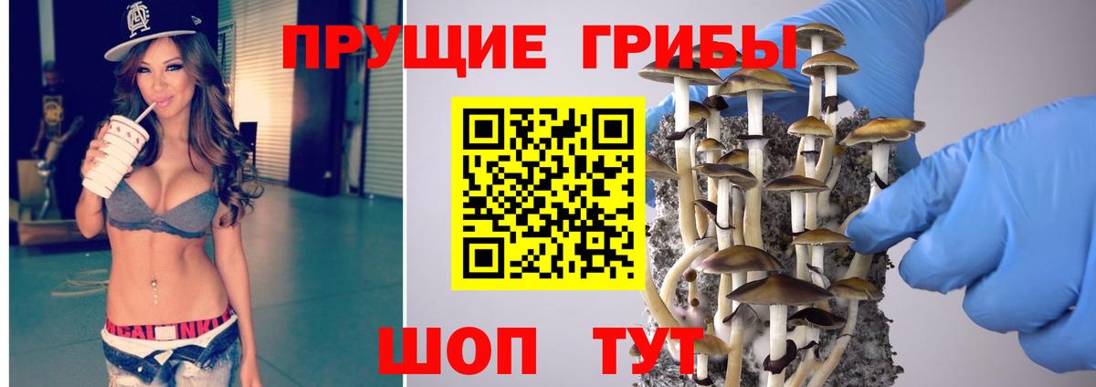 Галлюциногенные грибы Cubensis Гусев