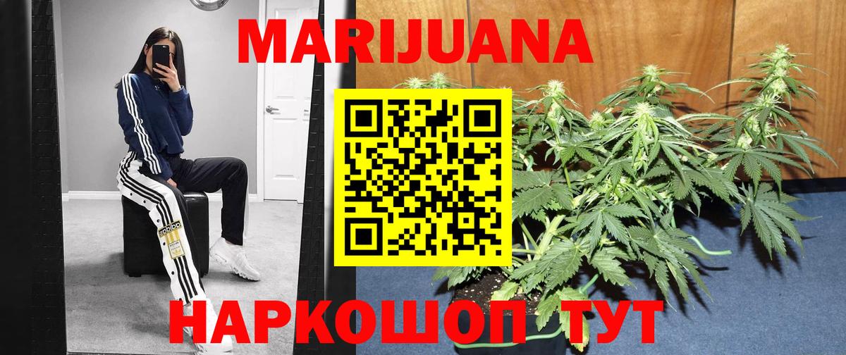 Конопля ГИДРОПОН Гусев
